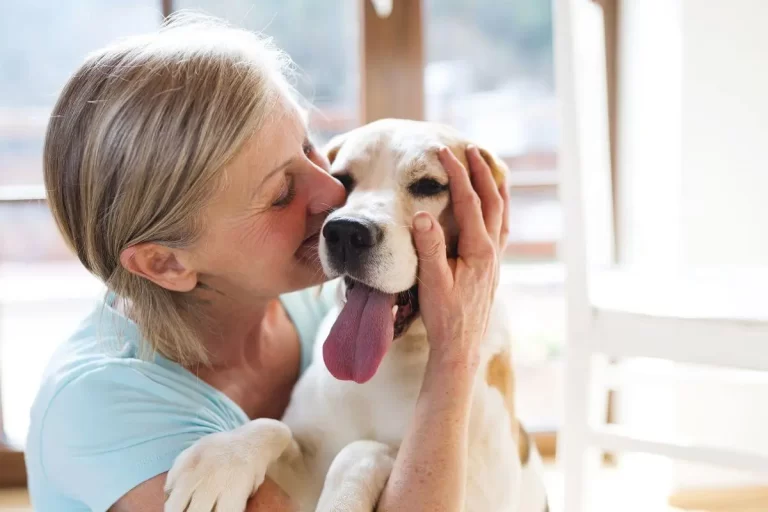 como saber a raça do meu cachorro